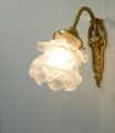 WF320+235/SAT
