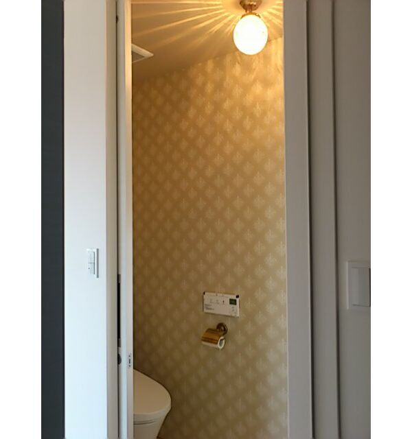 シンプルな丸いボール型のガラスシェードを用いた天井灯―おしゃれなトイレ照明の実例写真