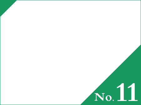 No.11