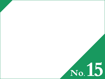 No.15
