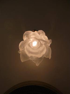 バラをデザインしたガラスシェードの壁照明-wf574+237sat